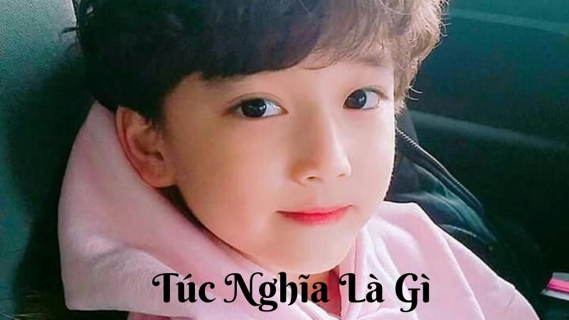 túc nghĩa là gì